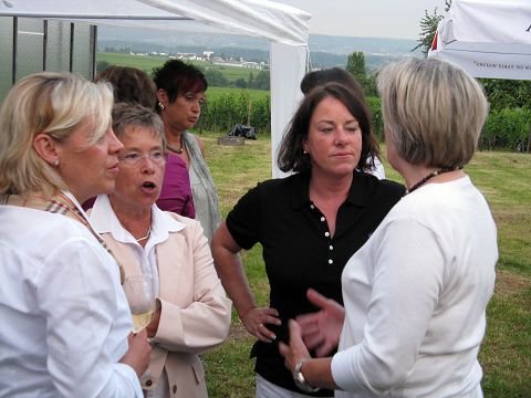 Sommerwiesenfest 2009